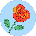A. Y.